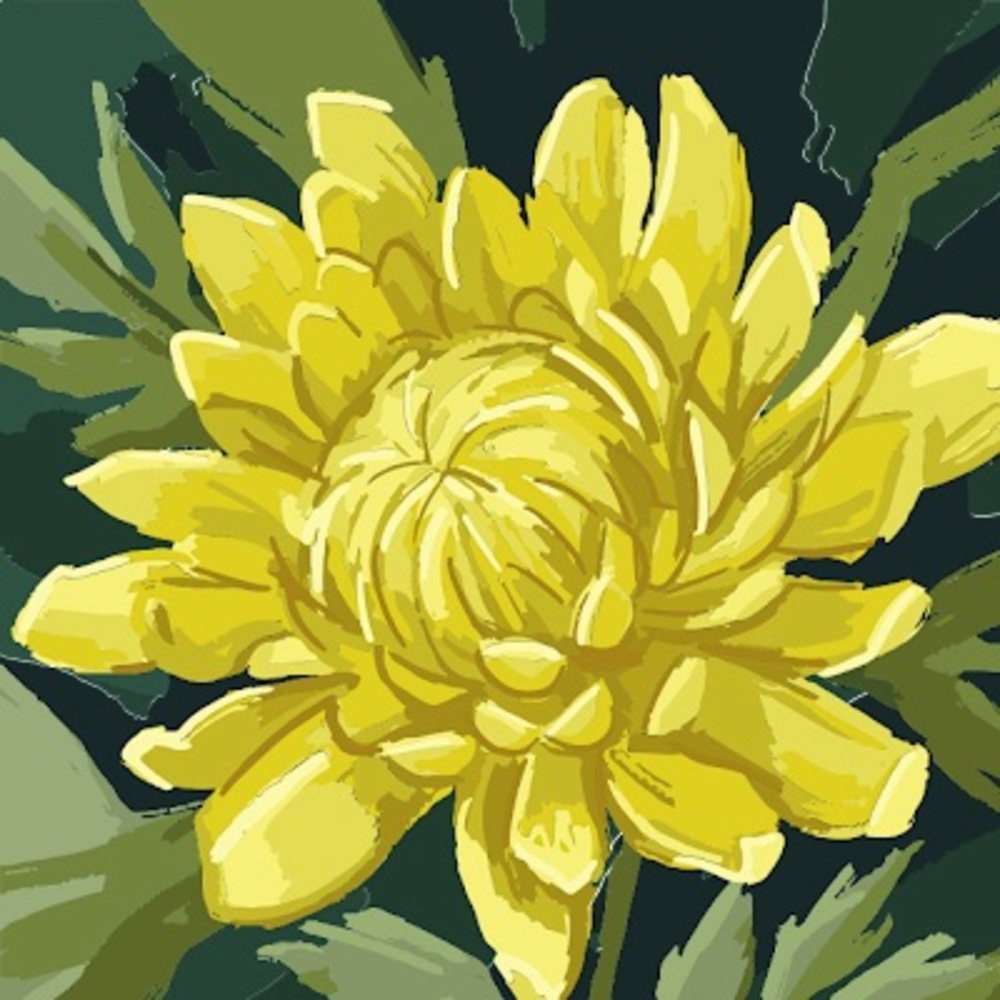 Meet your Posher, Sophia